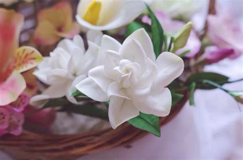 处女座几月到几月_处女座是农历几月出生的,第5张 处女座几月到几月_处女座是农历几月出生的,第5张