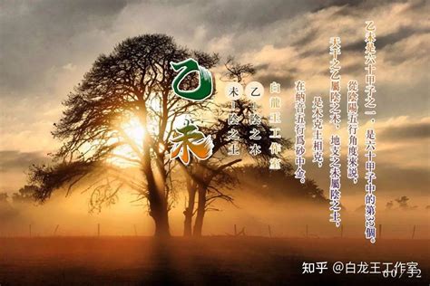 12月27日是什么星座,第3张