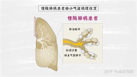 金牛座的特点女生性格_金牛女偏爱哪类型男生,第15张 金牛座的特点女生性格_金牛女偏爱哪类型男生,第15张