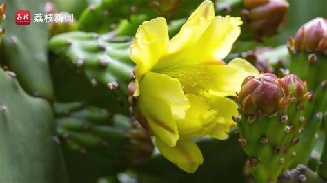 水瓶座的特点女生性格_水瓶女偏爱哪类型男生,第18张 水瓶座的特点女生性格_水瓶女偏爱哪类型男生,第18张