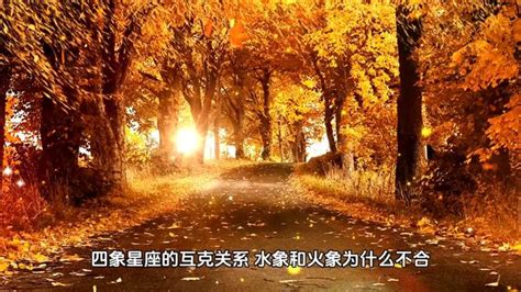 四象星座是什么意思_四象星座怎么分的,第15张