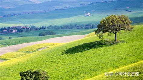 处女座几月到几月_处女座是农历几月出生的,第6张 处女座几月到几月_处女座是农历几月出生的,第6张