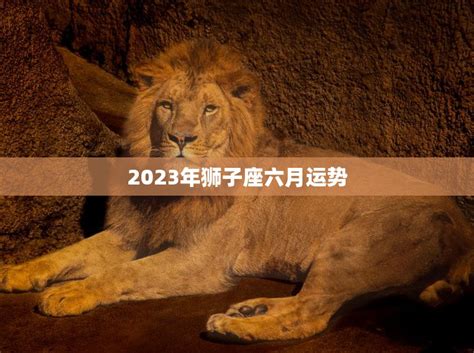 狮子座2023年的全年运势_狮子座2023年的全年运势最新详解,第17张