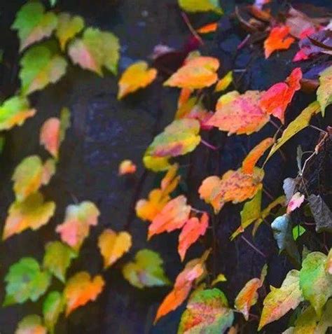 双子座的特点女生性格_双子女偏爱哪类型男生,第22张 双子座的特点女生性格_双子女偏爱哪类型男生,第22张