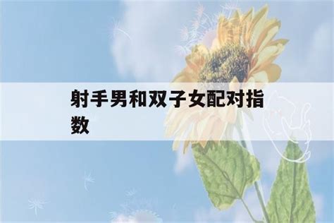 双子座和射手座配不配_双子座和射手座配对指数是多少,第26张