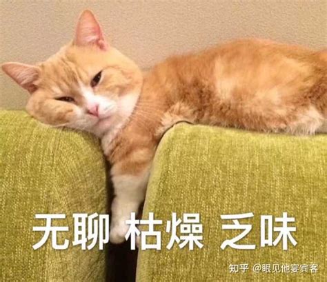 女生金牛座性格深度解析_女生金牛座性格缺点,第11张 女生金牛座性格深度解析_女生金牛座性格缺点,第11张