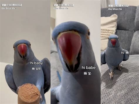 双鱼座女生性格特点的超准分析_双鱼座女生性格和什么星座最搭配,第4张 双鱼座女生性格特点的超准分析_双鱼座女生性格和什么星座最搭配,第4张