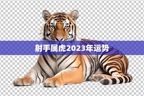 射手座2023年全年运势如何_射手座2023年运势详解完整版,第14张