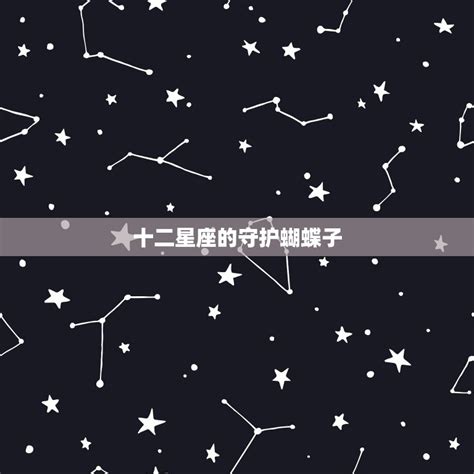 十二星座蝴蝶是什么_12星座的守护蝴蝶,第15张