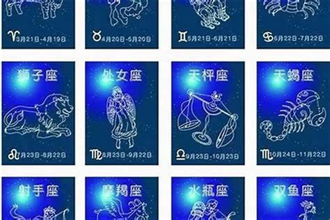 十二星座蝴蝶是什么_12星座的守护蝴蝶,第2张