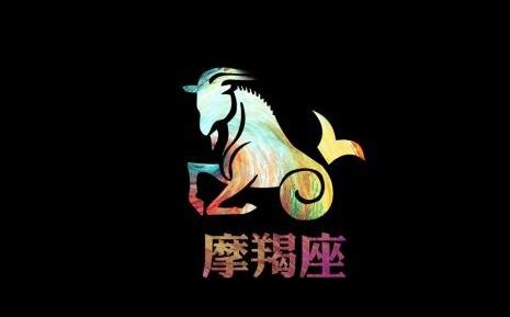 让摩羯座主动去追的4大星座_让摩羯座主动去追的女生,第14张