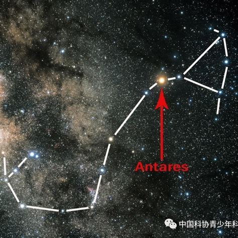 双鱼座女生性格特点的超准分析_双鱼座女生性格和什么星座最搭配,第10张 双鱼座女生性格特点的超准分析_双鱼座女生性格和什么星座最搭配,第10张