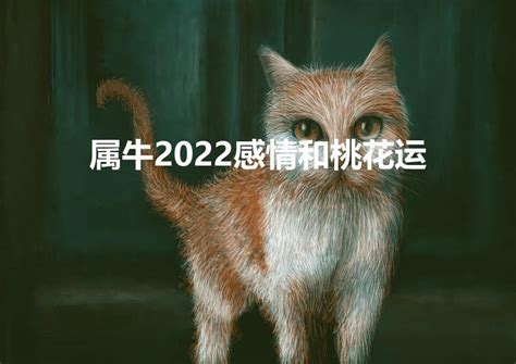 金牛座2022年全年运势如何_金牛座2022年全年运势详解,第3张