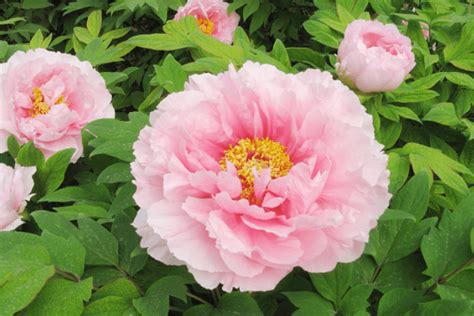 2022年下半年金牛座财富运势_金牛座2022年几月财运最好,第13张 2022年下半年金牛座财富运势_金牛座2022年几月财运最好,第13张