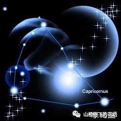 十二星座最聪明第一名_十二星座最聪明第一名男生,第3张 十二星座最聪明第一名_十二星座最聪明第一名男生,第3张