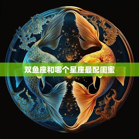 水象星座和什么象星座配_水象星座适合和哪个星座在一起,第9张