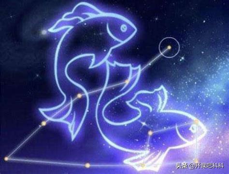 处女女偏爱哪个星座男_能让处女女幸福的星座男,第11张