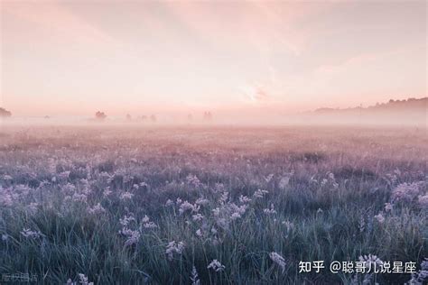 双鱼座女生的真正性格特点_双鱼座女生的真正性格特征,第7张 双鱼座女生的真正性格特点_双鱼座女生的真正性格特征,第7张