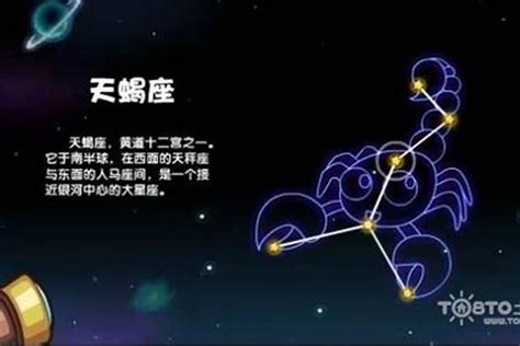 射手座男生最配星座_射手座男生配什么样星座女生,第6张