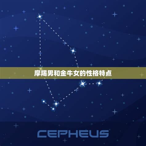 摩羯女偏爱哪个星座男_能让摩羯女幸福的星座男,第13张