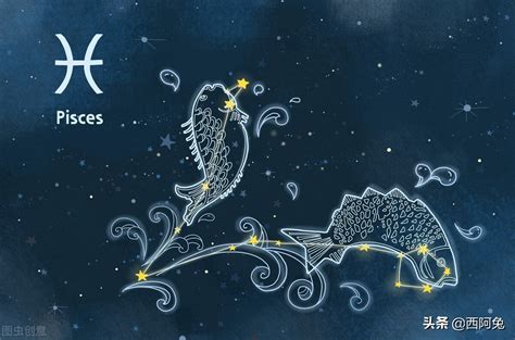 12月26日是什么星座,第13张 12月26日是什么星座,第13张