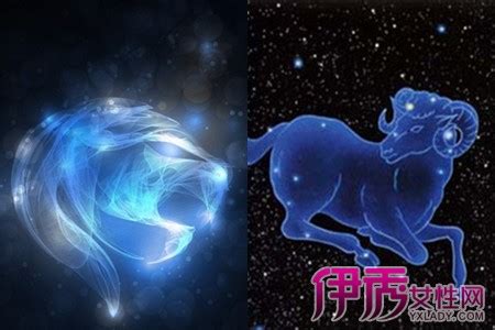 八月是什么星座_农历八月是什么星座,第10张 八月是什么星座_农历八月是什么星座,第10张
