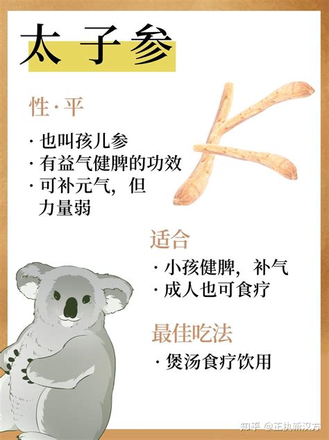 狮子男最可能爱上哪个星座女_与狮子男交往的大忌,第12张 狮子男最可能爱上哪个星座女_与狮子男交往的大忌,第12张