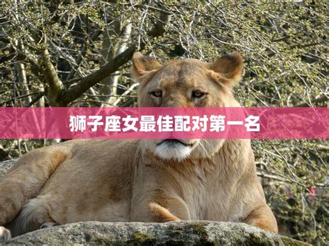 白羊男最离不开什么样的女人_白羊男痴迷哪种女人,第9张 白羊男最离不开什么样的女人_白羊男痴迷哪种女人,第9张