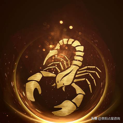 什么星座最适合当学霸_什么星座最适合当学霸女,第10张 什么星座最适合当学霸_什么星座最适合当学霸女,第10张