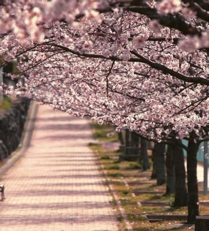 巨蟹男和什么座最配对_巨蟹男最佳配对是谁,第11张 巨蟹男和什么座最配对_巨蟹男最佳配对是谁,第11张