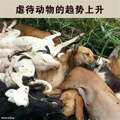 狮子男最可能爱上哪个星座女_与狮子男交往的大忌,第14张 狮子男最可能爱上哪个星座女_与狮子男交往的大忌,第14张