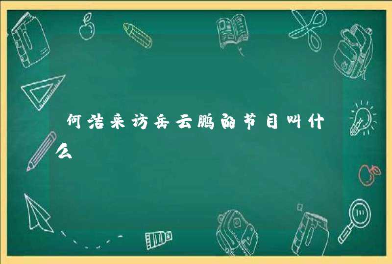 何洁采访岳云鹏的节目叫什么,第1张