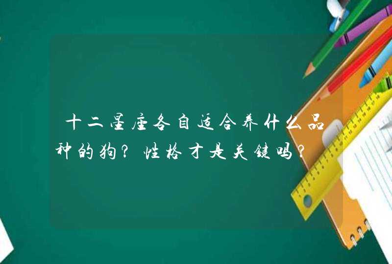 十二星座各自适合养什么品种的狗？性格才是关键吗？,第1张