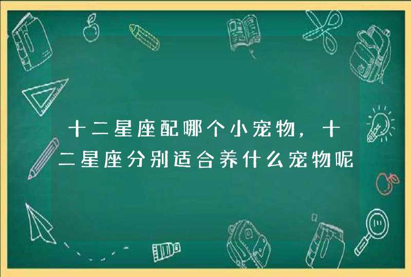 十二星座配哪个小宠物，十二星座分别适合养什么宠物呢,第1张