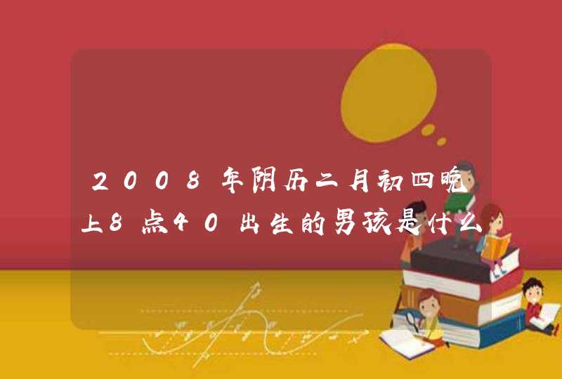 2008年阴历二月初四晚上8点40出生的男孩是什么星座的,第1张